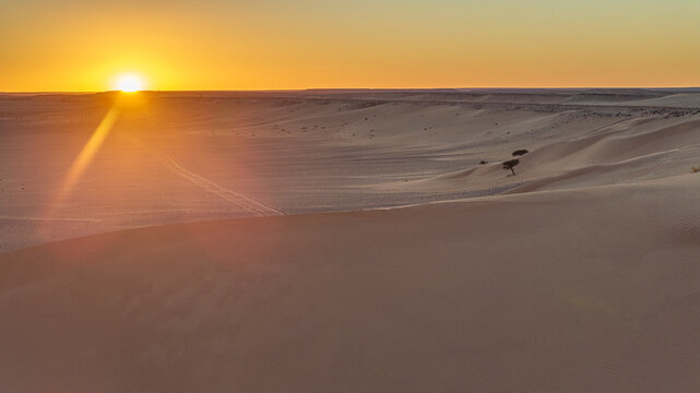 Aerial White Sahara Sand Dunes Golden Sunset Sun Rays Lone Tree Morocco
