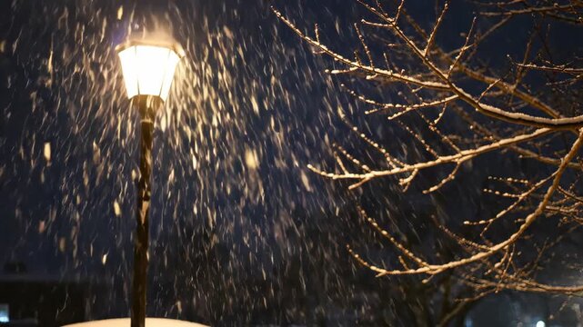 A solitary lamppost illuminates a snowy winter night scene with bare tree branches.