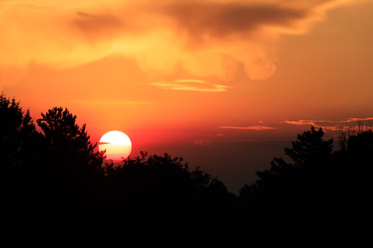 Fiery Sunrise Through Wildfire Smoke with Silhouetted Trees