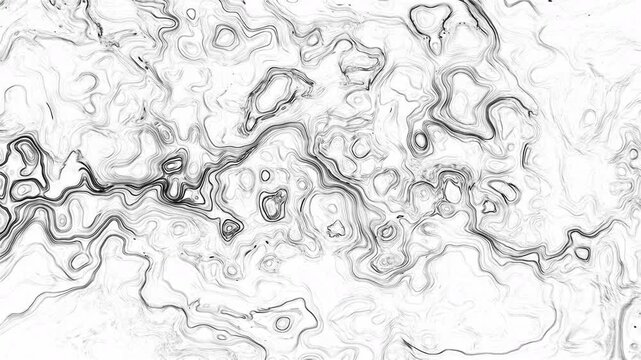 Detailed monochrome background with curved black river lines on white surface. Complex topographic fluid map waves texture. Ideal for minimal trendy overlay, modern backdrop or loop design.