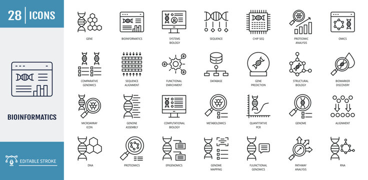 Bioinformatic icon set. Icons related to genome, sequence, dna, protein, gene, alignment, annotation, proteome. Vector illustration with editable stroke