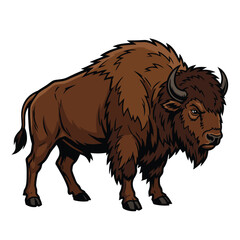 Obraz premium bison vector image
