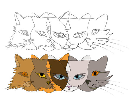 Illustrations of abstract cat faces in color and line art