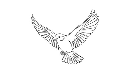 Fototapeta premium Bird in Flight Illustration.