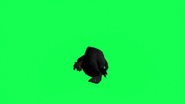 4k Illustration of an alligator Reptile swimming back tail view loop animation on isolated Green Screen Animal, 3D Realistic Crocodile swimming rendering on the chroma key, video for your rhymes, stor