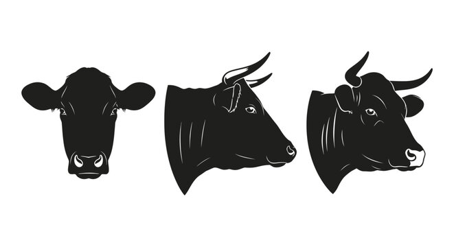 Black cow heads in profile.