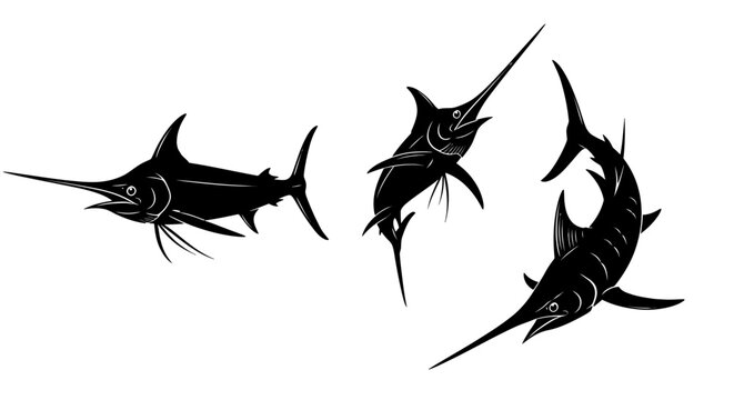 Group of sailfish swimming together fast.