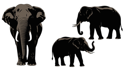 Fototapeta premium Three Black Silhouette Elephant Family.