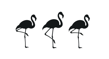 Obraz premium Three Flamingos Standing Side by Side 1.