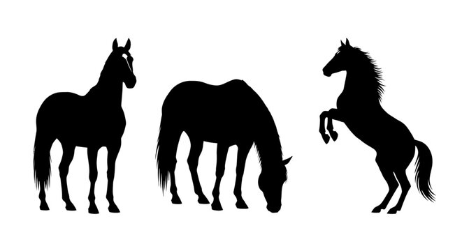 Three Horses in Different Poses Silhouette.