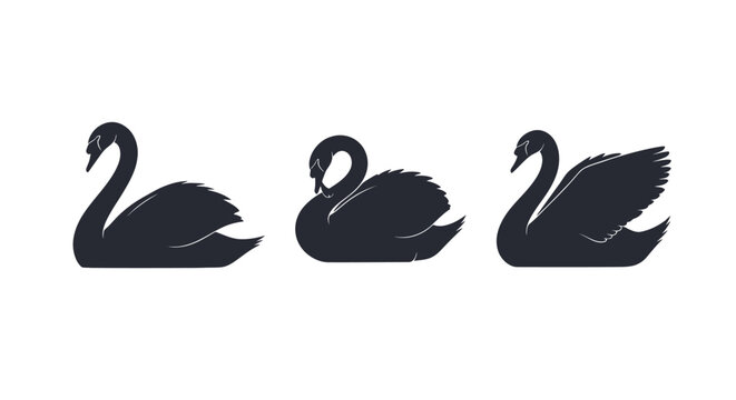 Three swans in a row profile.