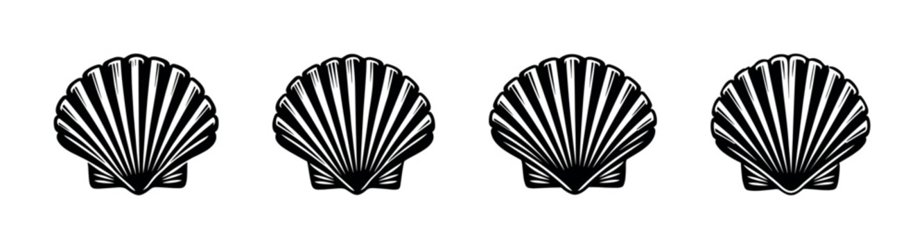 Collection of four identical black and white scallop shell illustrations on a white background