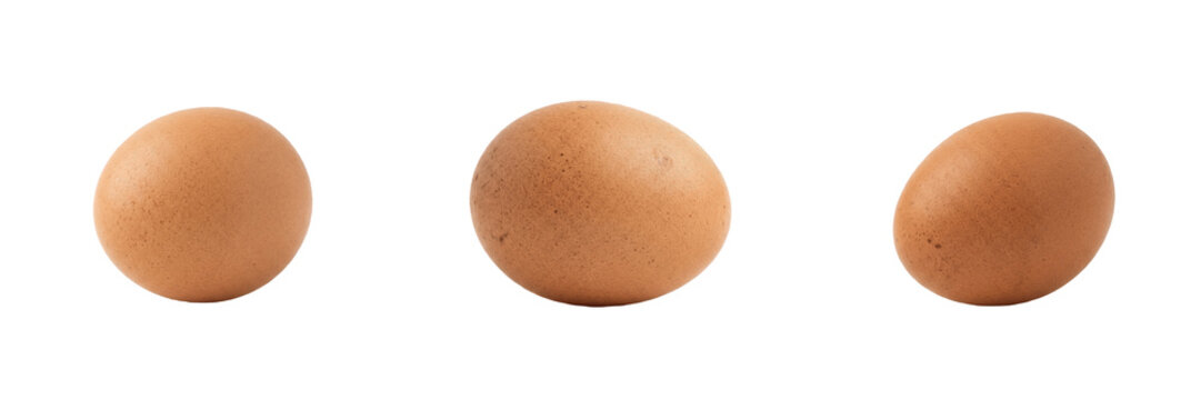 Set and collection of single fresh raw brown chicken egg isolated on white transparent png background