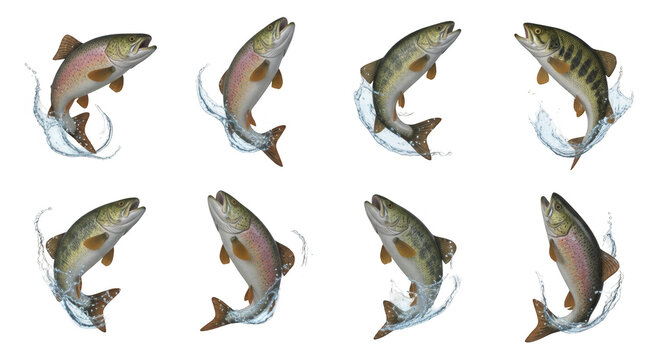 assortment of jumping fish species on a white background aquatic wildlife educational or decorative purposes
