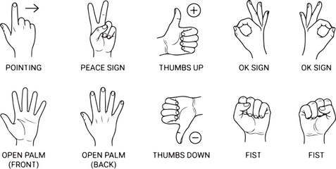 Hand gesture icons set featuring pointing, peace sign, thumbs up, thumbs down, ok sign, open palm, and fist. Minimalist line art vector illustration for communication and nonverbal language © amodha
