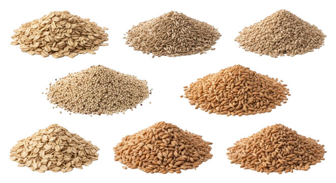 assorted grains arranged on a white backdrop varied textures and natural food resources nutritional content illustrations