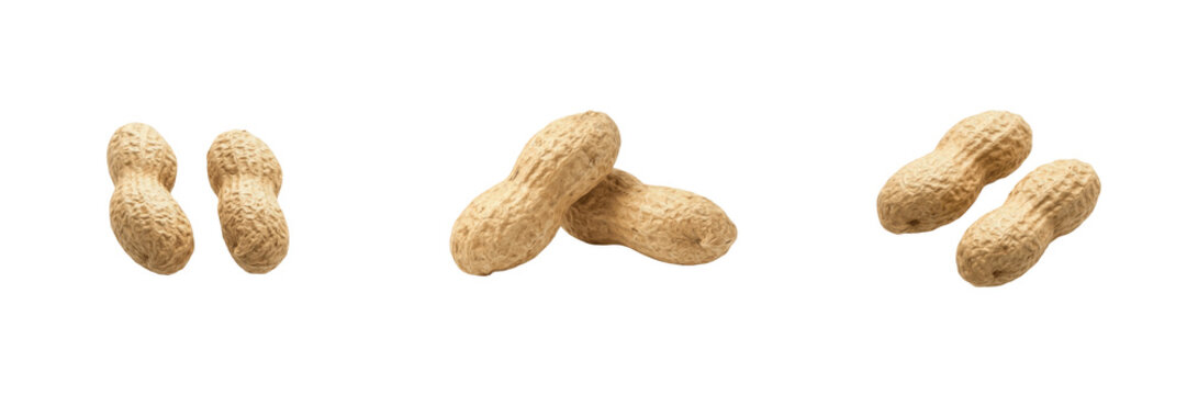Set and collection of two raw whole unpeeled peanuts isolated on white transparent png background