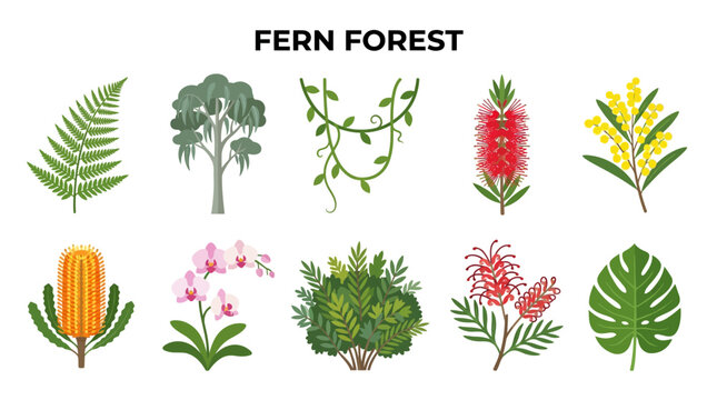Fern Frond Tropical Leaves and Flowering Plants in Botanical Collection