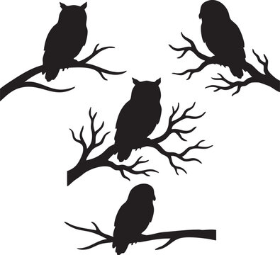 birds on a branch
