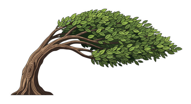 Bent tree illustration leaning in strong wind with green leaves and textured bark isolated on white background