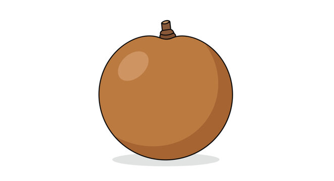 Single whole longan tropical fruit illustration isolated on white background