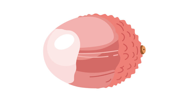 Fresh Lychee Fruit Illustration Partially Peeled Showing White Juicy Flesh Isolated on White Background