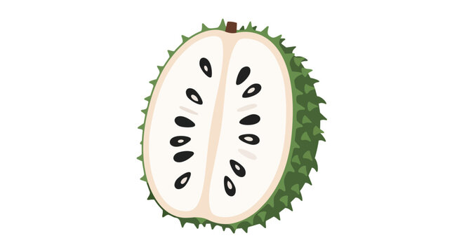Fresh Soursop Fruit Half Illustration with Green Prickly Skin and White Pulp with Seeds Isolated on White Background