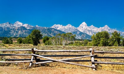 Fototapeta premium A classic wooden fence stands before a scenic meadow and grove of aspens, with the rugged peaks of the Teton Range rising prominently under a cloudless blue sky in Grand Teton National Park, Wyoming