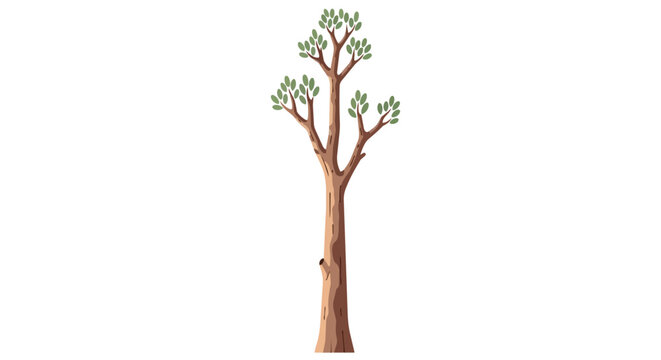 Tall slender tree with brown trunk and green leaves illustration isolated on white background