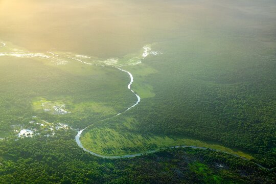 Scenic Tributary of the Demerara River Winding through the Amazon Rainforest in Guyana, South American