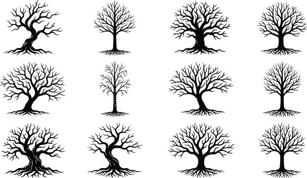 Leafless tree silhouette collection featuring vintage bare forest trees with detailed branches isolated on white background