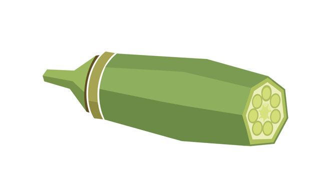 Fresh Green Okra Slice and Lady Finger Vegetable Illustration Isolated on White Background