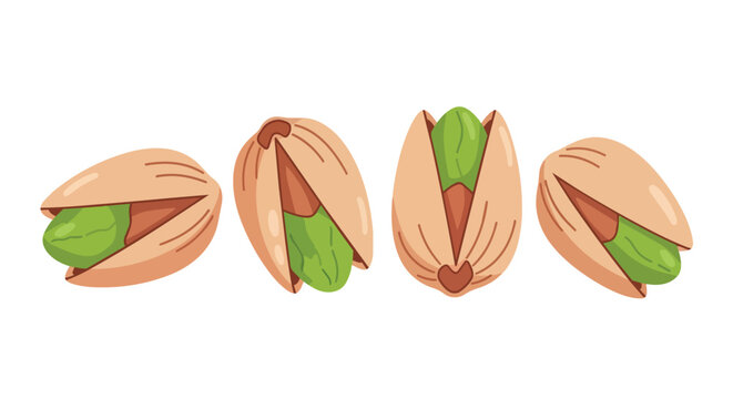 Group of roasted pistachio nuts with open shells illustration isolated on white background