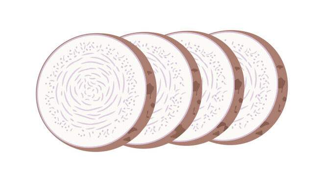 Slices of Fresh Taro Root Illustration Isolated on White Background