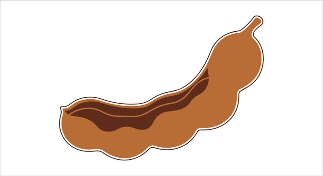 Brown tamarind pod illustration isolated on white background
