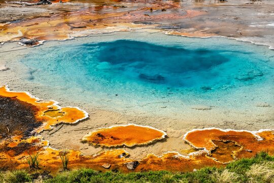 Colorful Silex Spring bubbles with hot blue water in Yellowstone National Park Wyoming. Geothermal feature displays vibrant orange bacterial mats contrasting with deep turquoise pool on sunny day