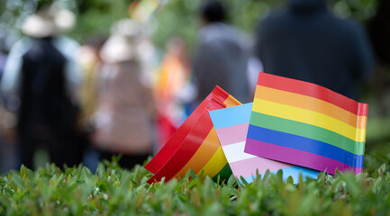 Fototapeta premium Rainbow pride and transgender flags displayed on green grass