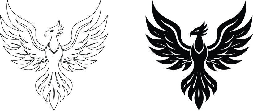 Phoenix bird vector illustration showing mythical firebird outline and solid silhouette design.