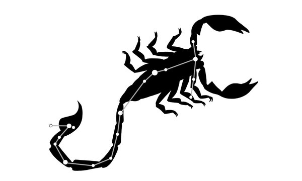 さそり座のシルエットイラスト（サソリの絵と星座線）