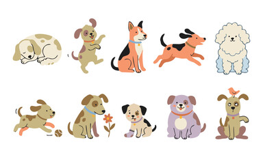 Fototapeta premium group of dogs