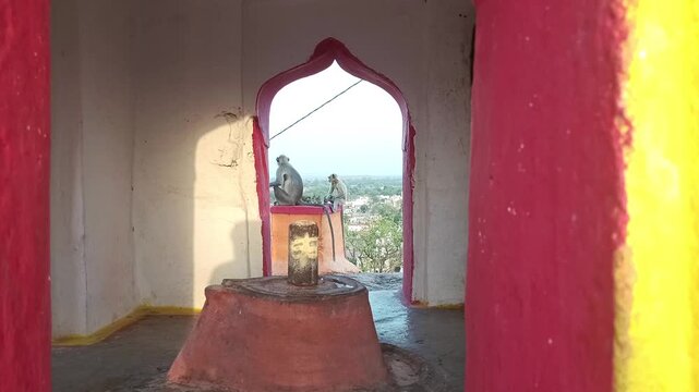Shivling inside Hindu Temple with Langur Monkeys Sitting at the Entrance