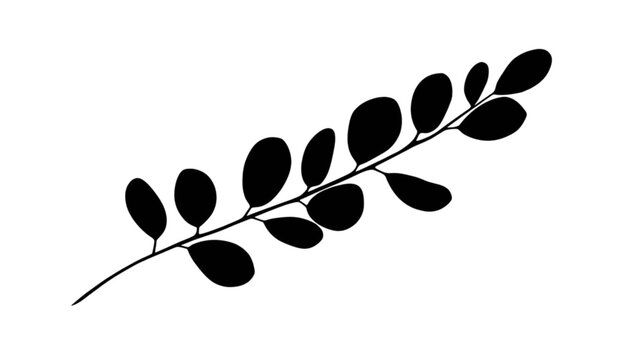 Silhouette of Moringa Branch: A minimalist black silhouette of a moringa branch, showcasing its delicate structure with multiple oval-shaped leaves.