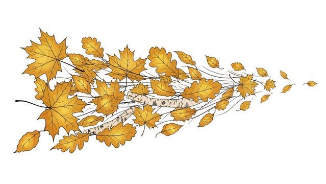 Golden Leaves Falling Down.