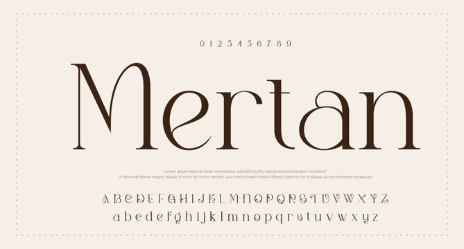 Luxury sans serif alphabet letters font and number. Classic Lettering Minimal Fashion Designs. Typography decorative wedding fonts and logo. vector illustration. 