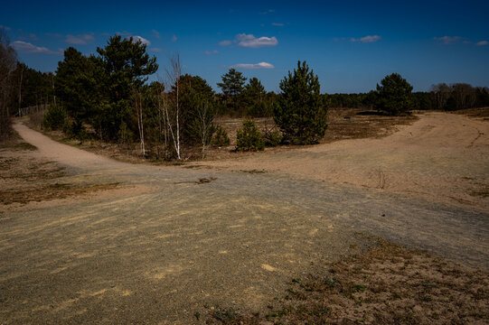 Heathland near Berlin with sand paths and spring vegetation