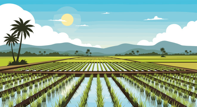 Picturesque rice field landscape with symmetrical rows of crops, palm trees, and mountains under a bright sunny sky.