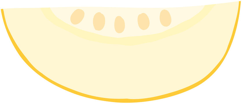 melon slice flat style
