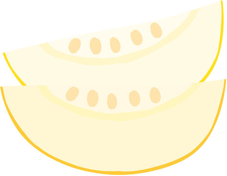 melon slice flat style