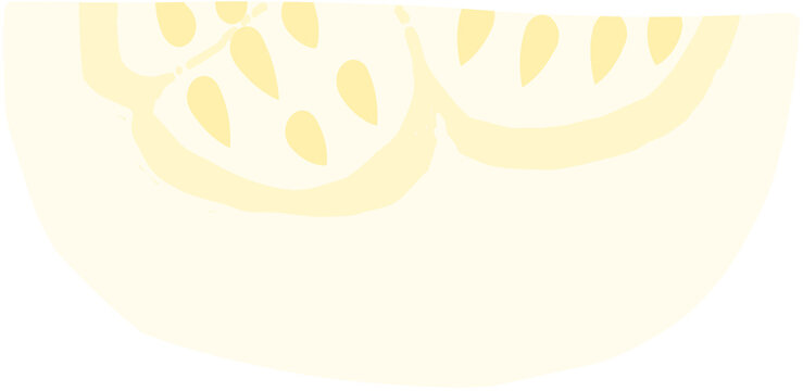 melon slice flat style