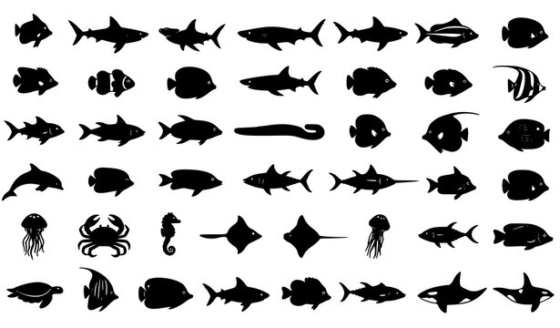 Fish silhouette vector illustration collection featuring sharks and tropical marine species on white background